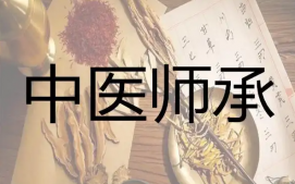 北京延庆中医师承培训班