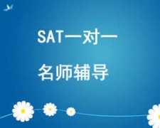 西安雁塔區SAT一對一培訓