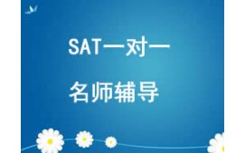 西安雁塔区SAT一对一培训