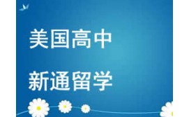 西安未央区美国高中留学申请