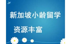 西安未央区新加坡小齡留学申请