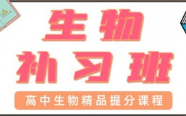 东莞东城区高中生物辅导班