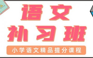 东莞寮步小学语文一对一辅导费用多少
