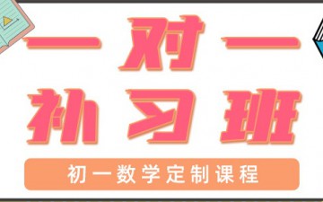 东莞厚街初一数学一对一辅导哪里好