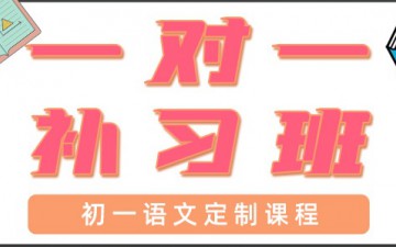 东莞万江初一语文一对一辅导哪里好