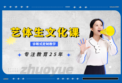 成都高新区艺体生文化课辅导