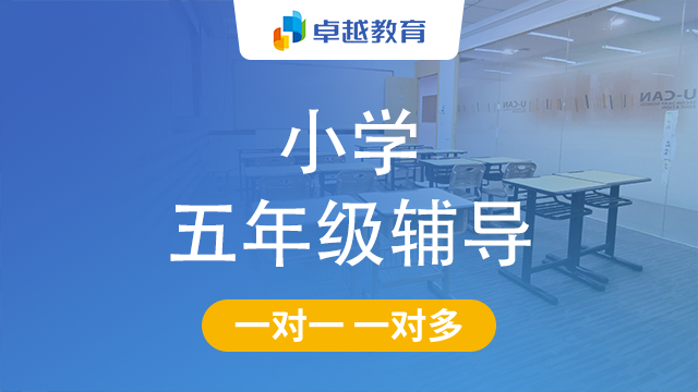 成都高新区小学五年级辅导