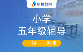 成都天府新区小学五年级辅导