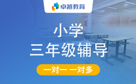 成都高新区小学三年级辅导