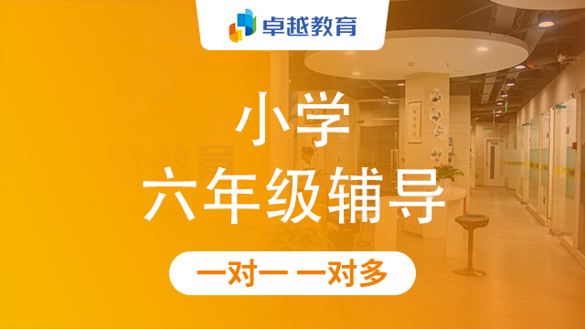 成都成华区小学六年级辅导