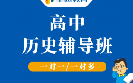 成都高新区高中历史辅导