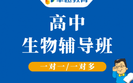 成都高新区高中生物辅导