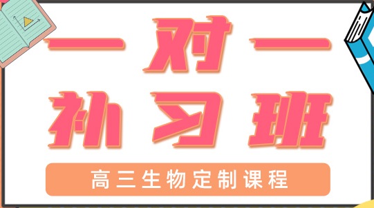 成都新都区高三生物辅导班