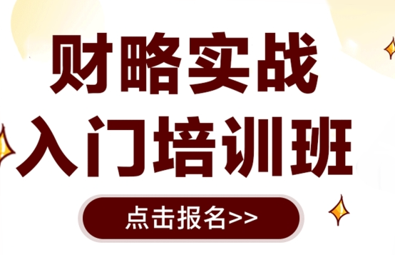芜湖镜湖区财略实战培训班
