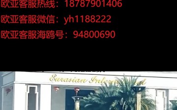欧亚国际