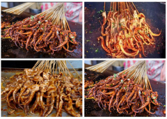 温州瓯海区铁板鱿鱼培训班