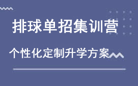 龙泉驿区排球单招集训