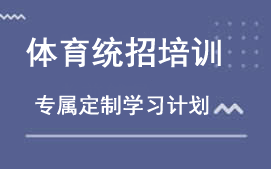 成都体育统招培训班